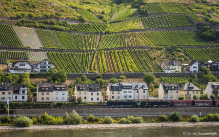 Rhine Country (Rheingau) Vineyards