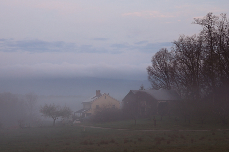 Morning Mist