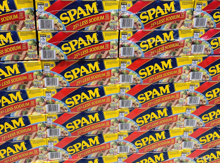 Check Your Spam 