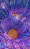 May 2024 Photo Contest 2nd Place Prize Winner