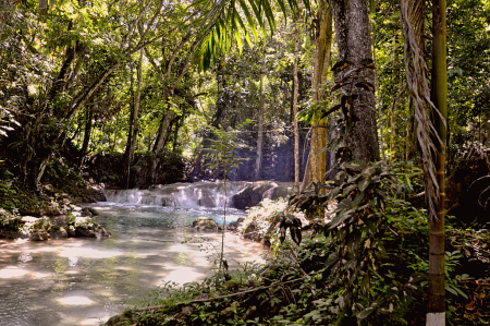 Water Fall in Jamaica