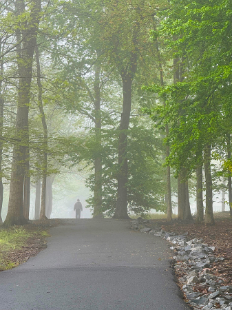 Walking into fog