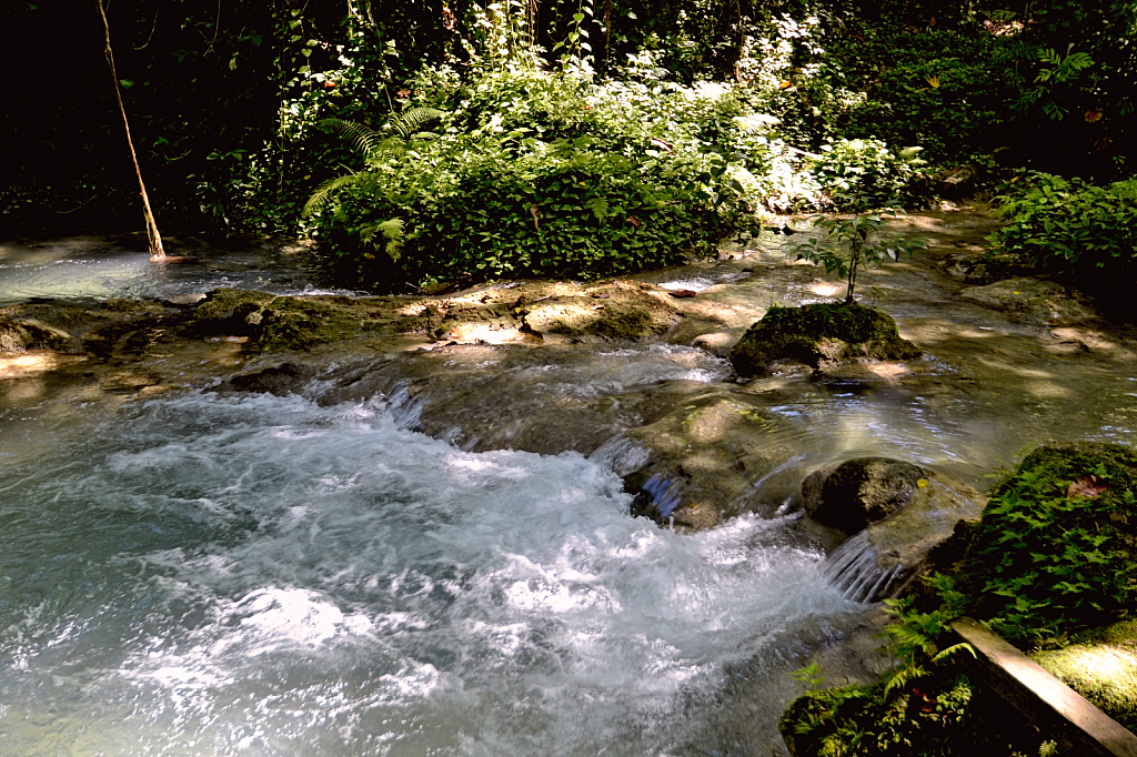 Peaceful stream