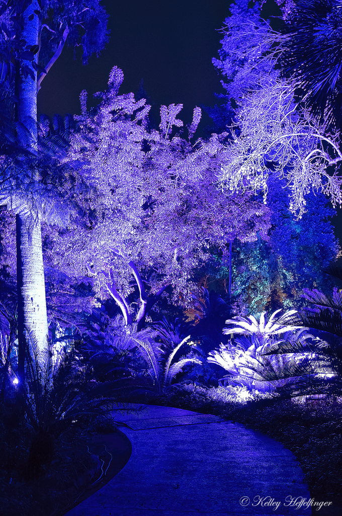img2