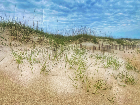 Dunes on the Outer Banks