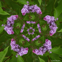 May 2024 Photo Contest 2nd Place Prize Winner