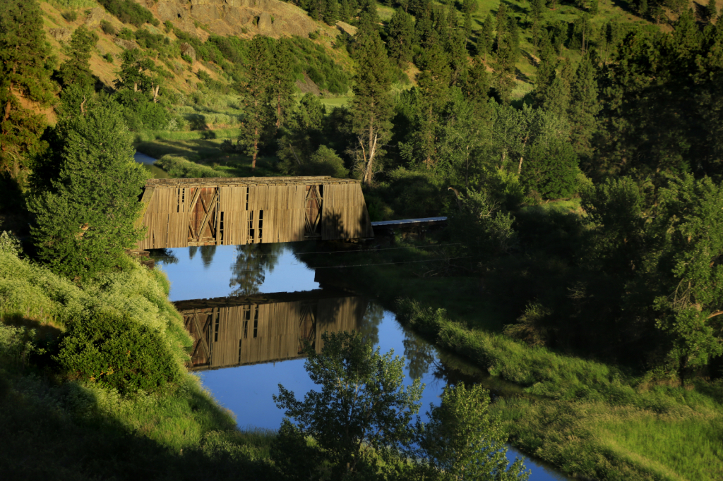 Sunny Day in the Palouse