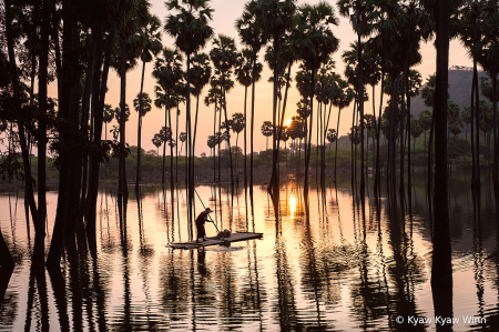 Morning Light and Reflection