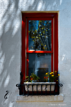 shaded window