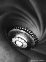 May 2024 Photo Contest 2nd Place Prize Winner