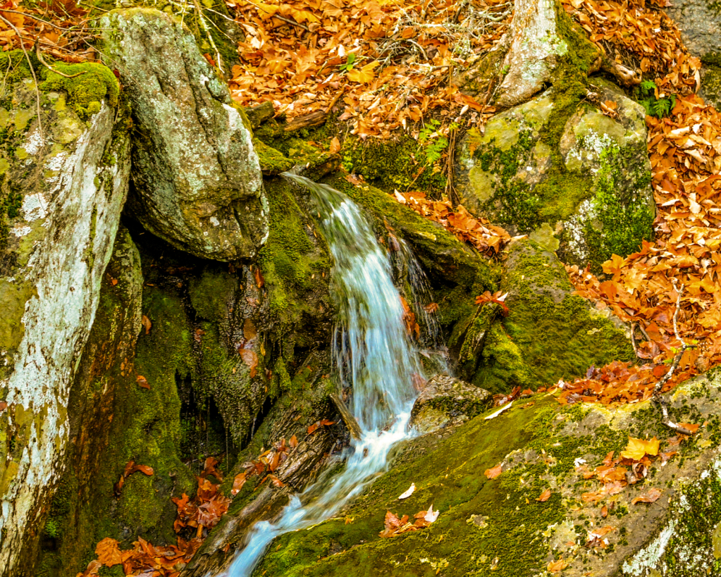 Falling Water