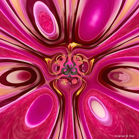 pink orchid morphed