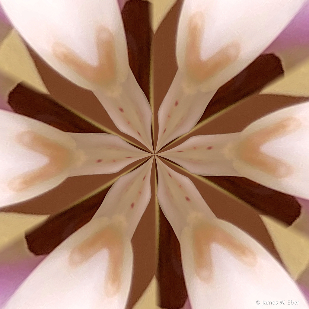 Orchid center morphed