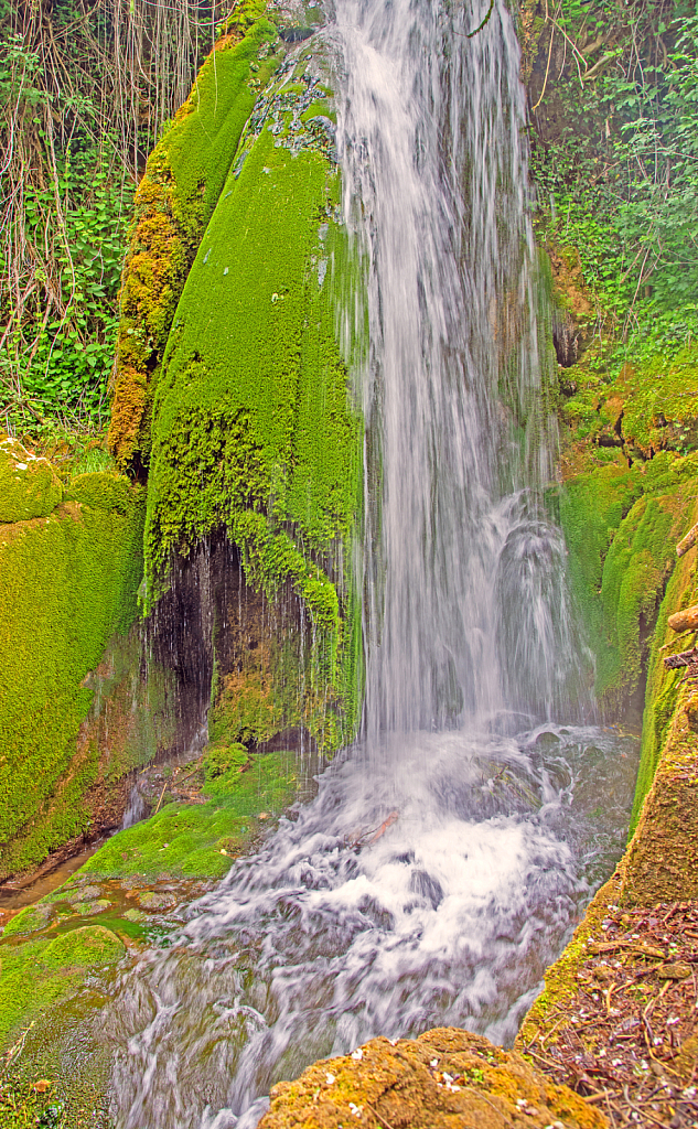 Water Spring Run off.