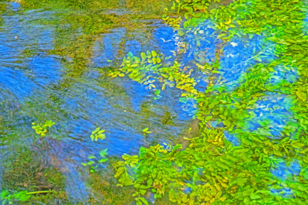 Spring Water flow and Grass. Abstract.