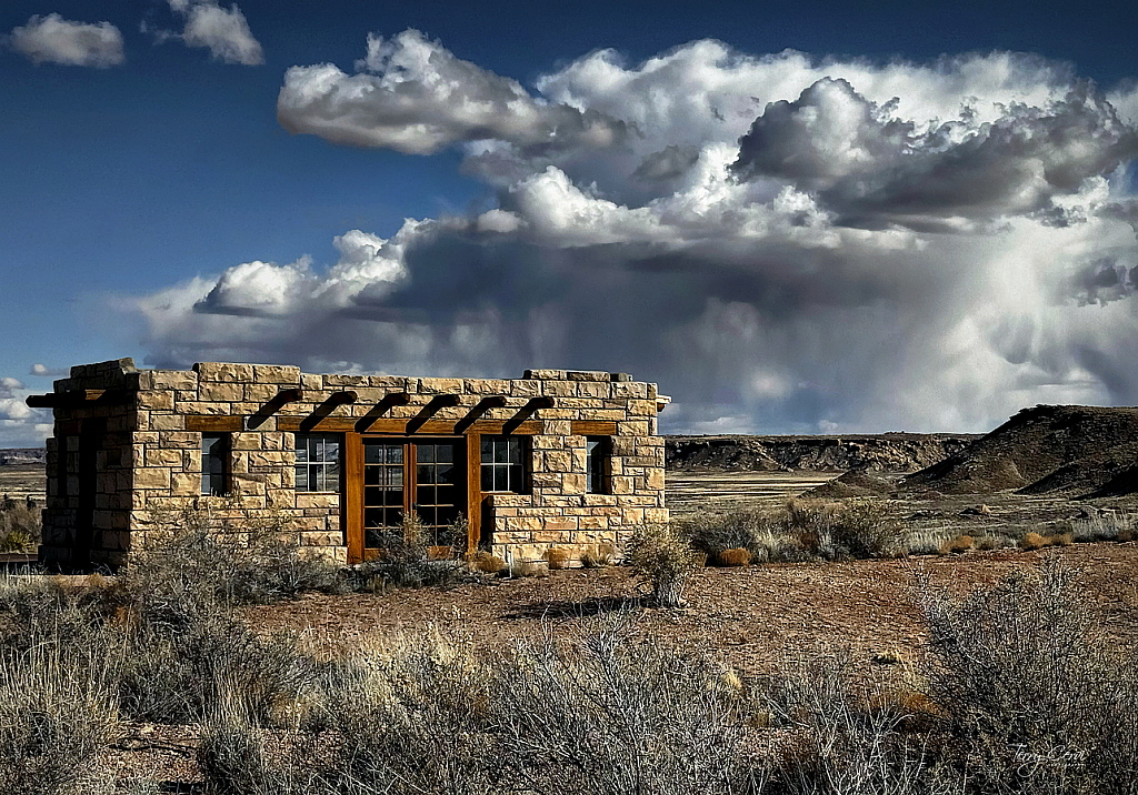 Exploring the Petrified Forest