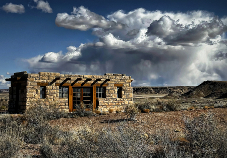 Exploring the Petrified Forest