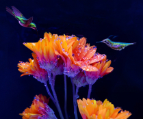 May 2024 Photo Contest 2nd Place Prize Winner
