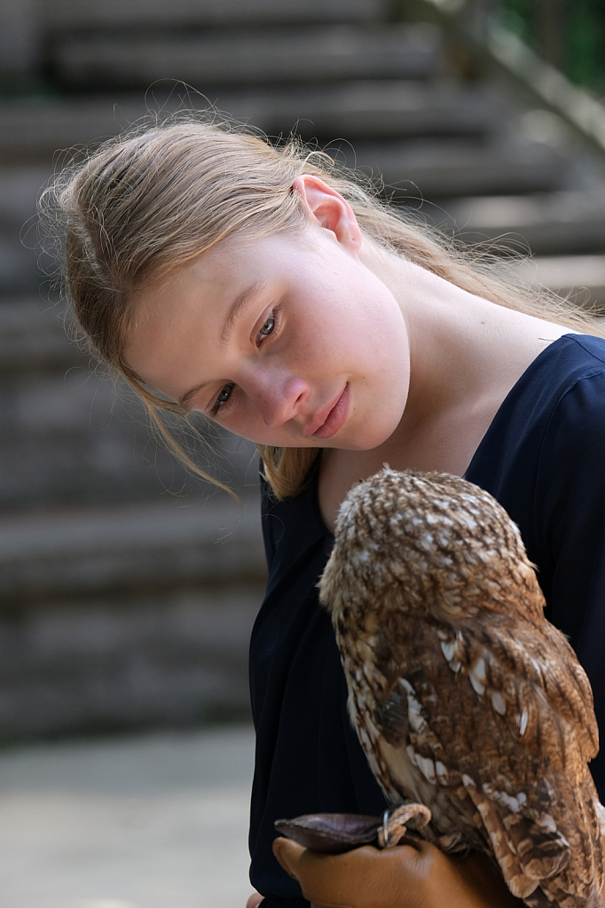 Meeting The Owl