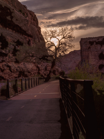 Evening glow in red rock country