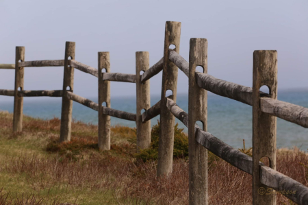 Acadian Fence