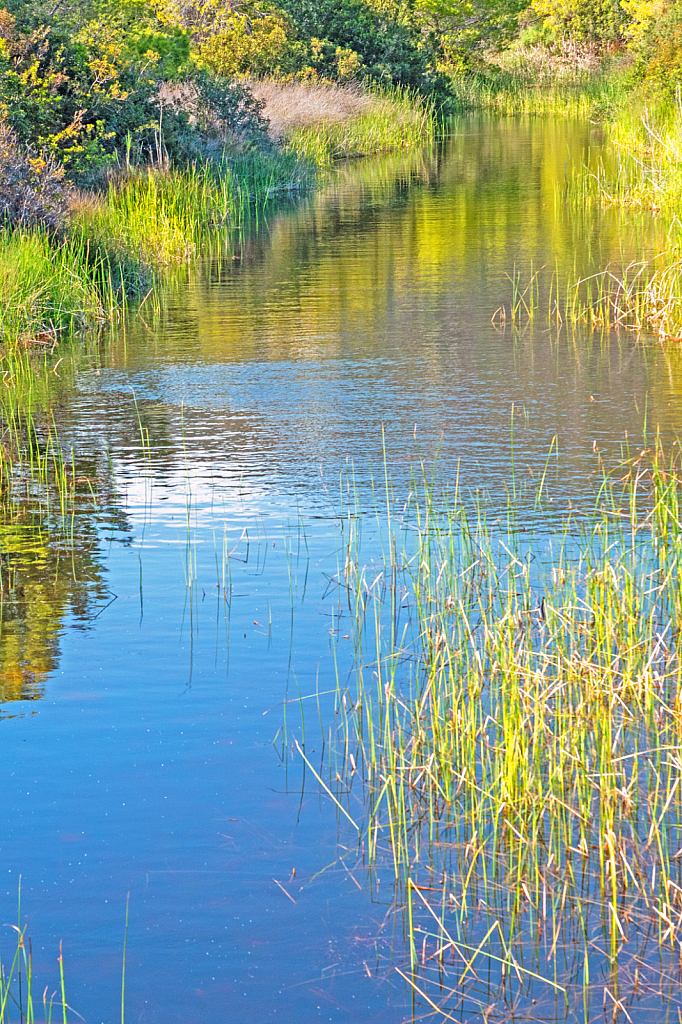 Spring Pond.