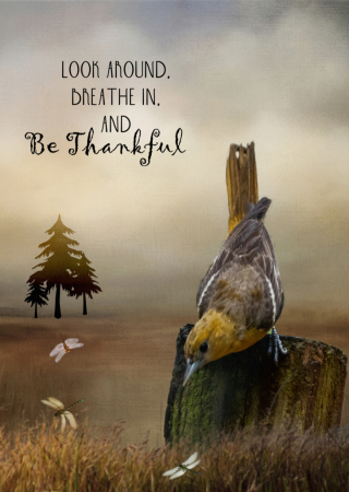 Be Thankful