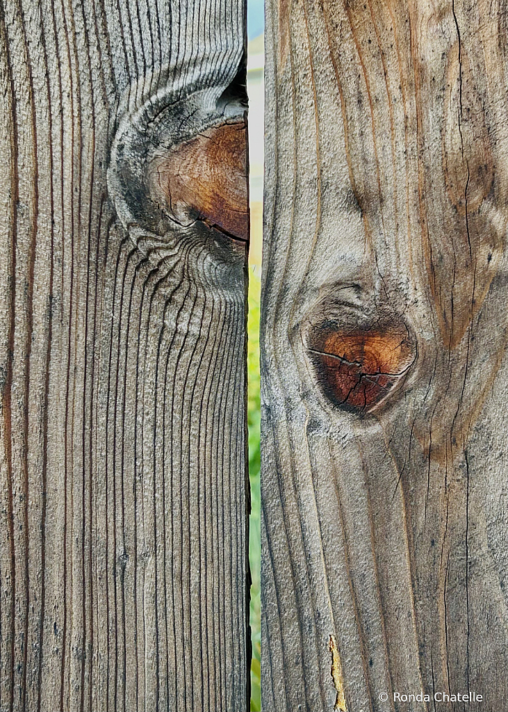 The Art of Security 