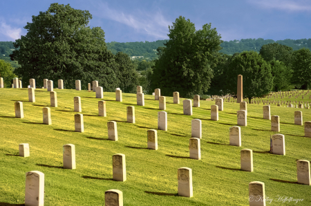 Remembering the Fallen
