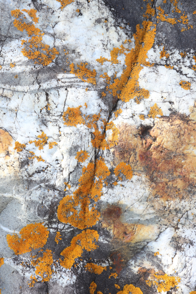 Abstraction 