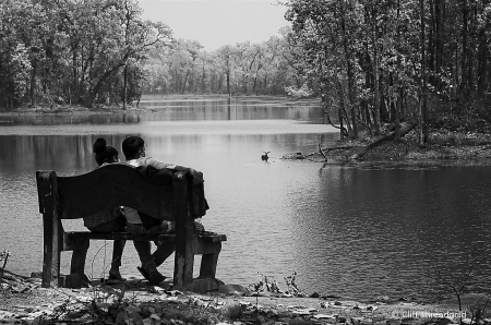Lovers at the lake