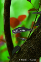 May 2024 Photo Contest 2nd Place Prize Winner