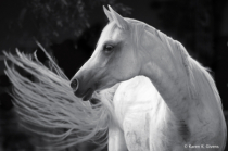 May 2024 Photo Contest 2nd Place Prize Winner