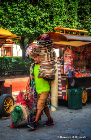 ~ ~ THE SOMBRERO MAN ~ ~ 