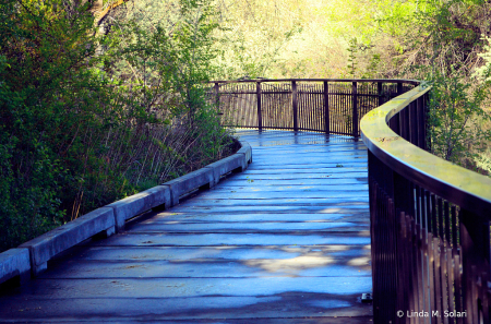 A Walk Remembered