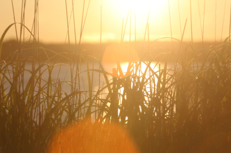 Sunset Backlight 