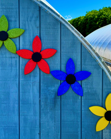 Colorful Patterns