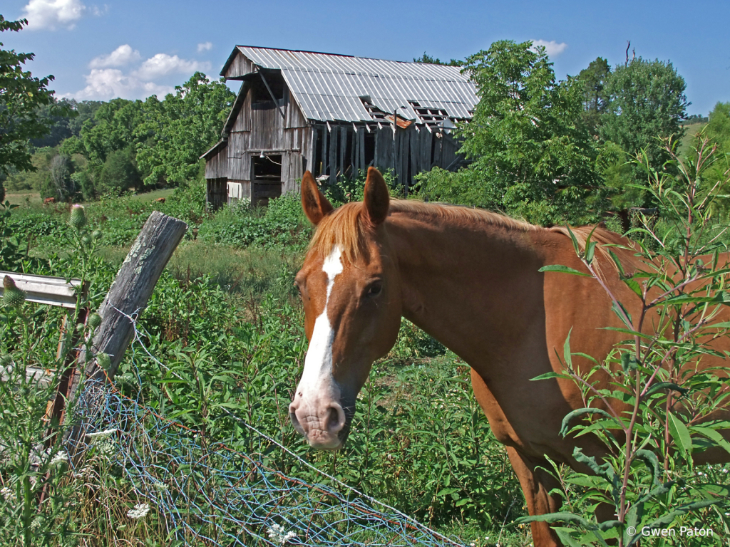 img20