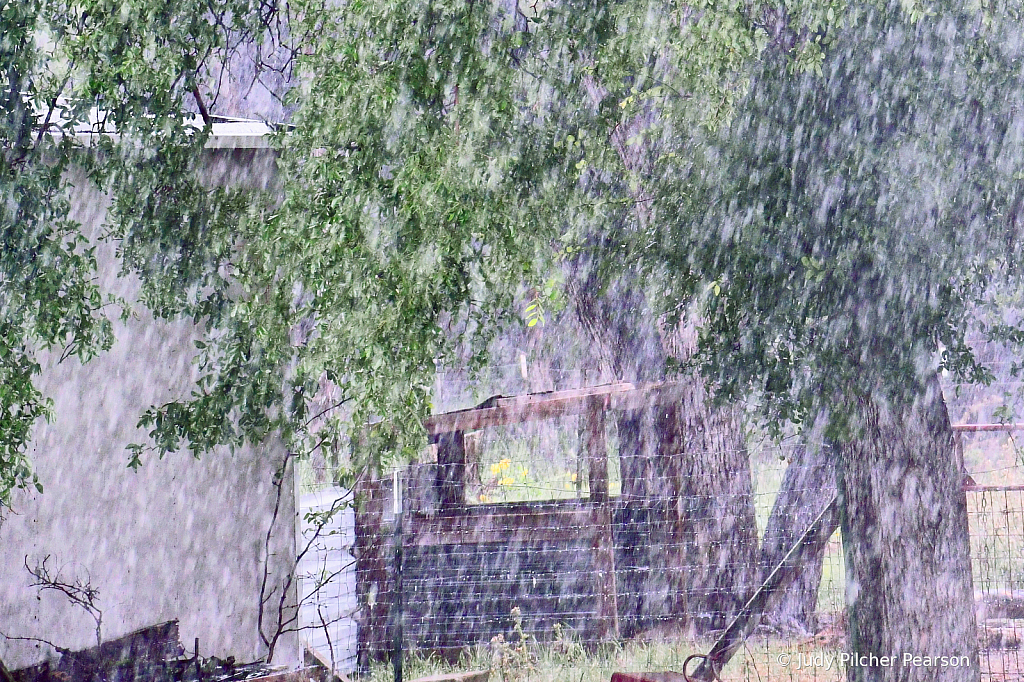 the magic rain.....