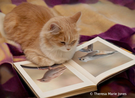 June 2024 Photo Contest 1st Place Prize Winner