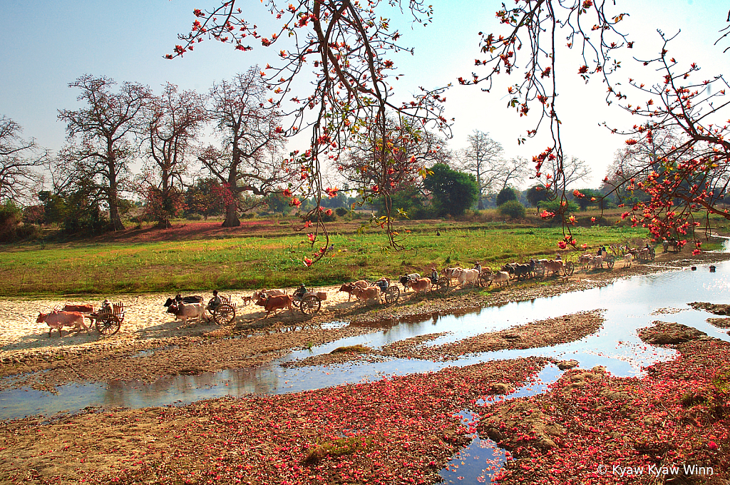 Summer Day of Myanmar