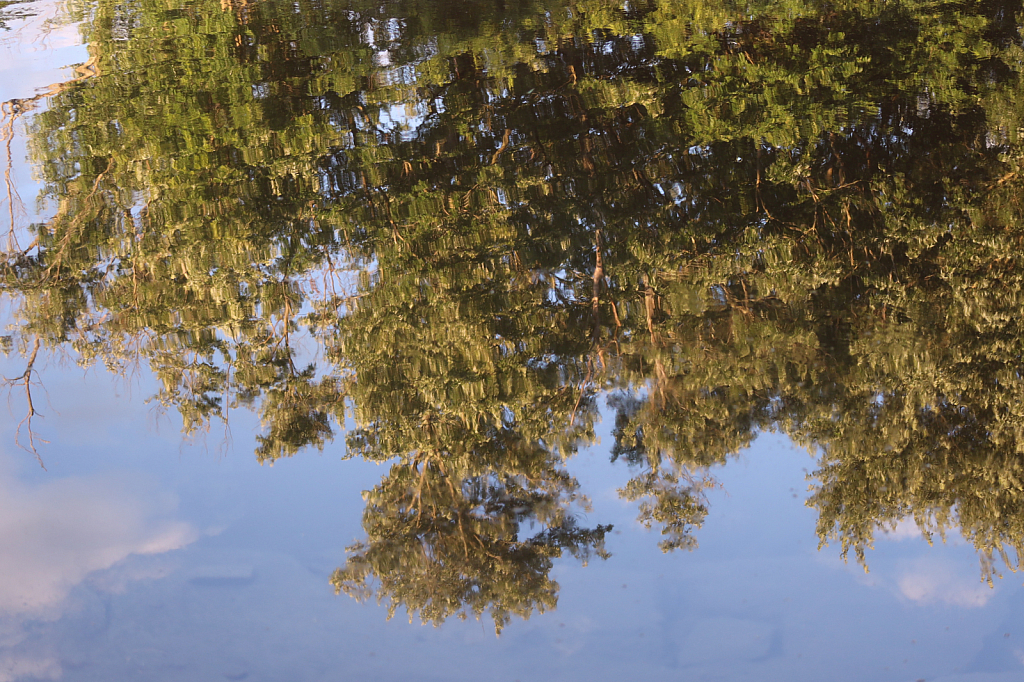 Housatonic Reflections