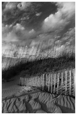 Dune Dance