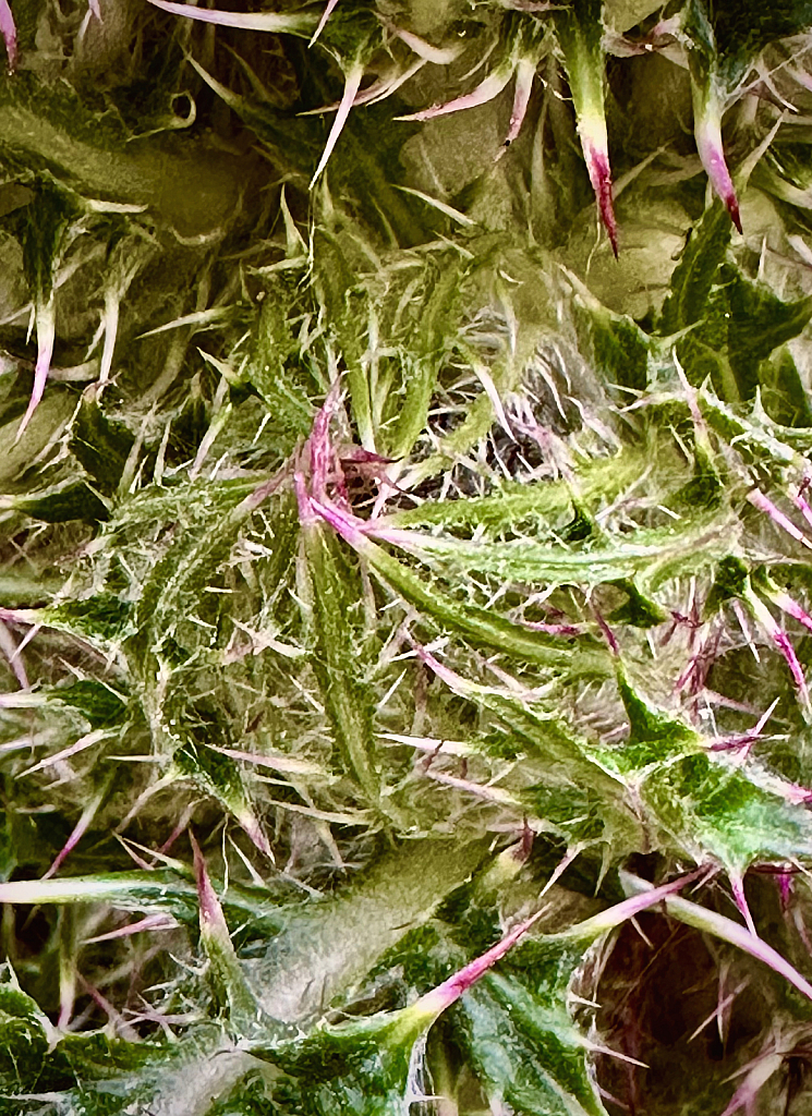 Unfurling danger