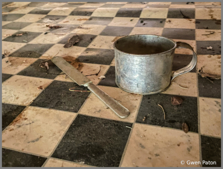 Finds at Old Cabin