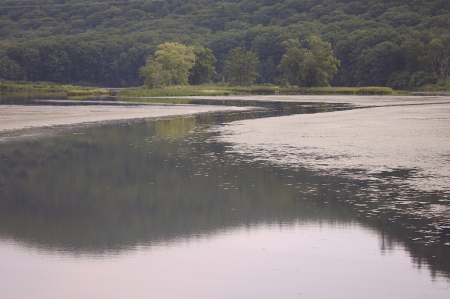 Woods Pond
