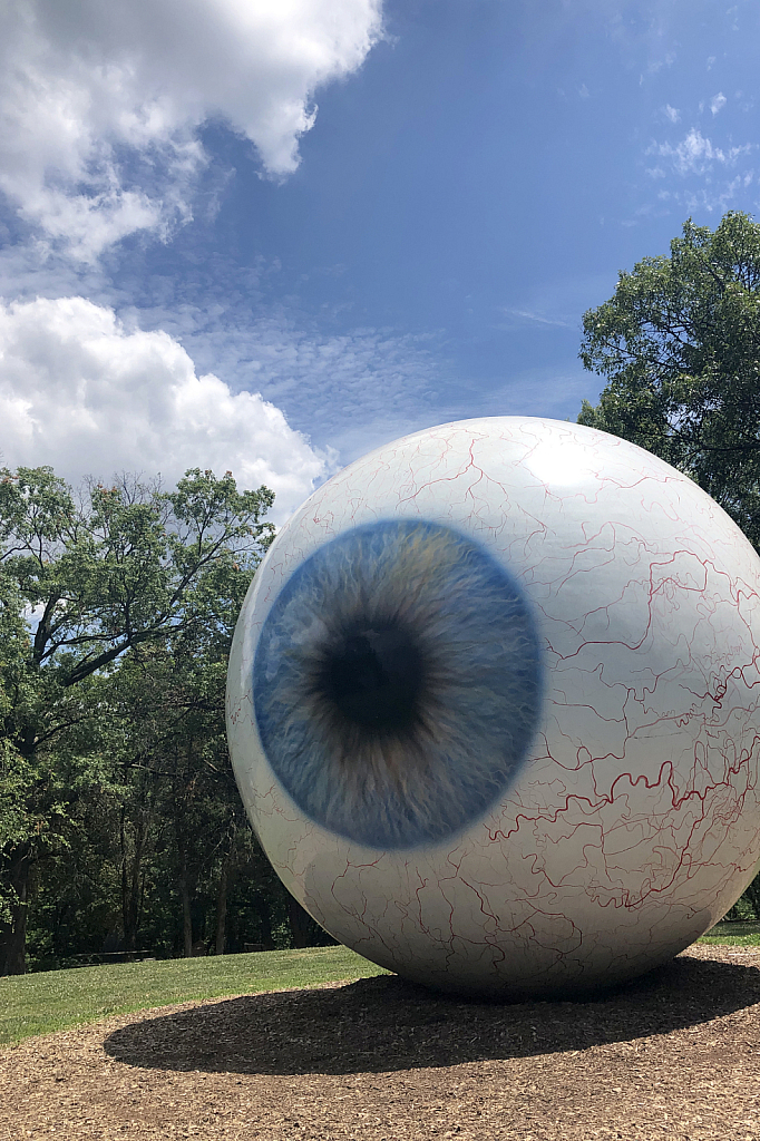 Eye