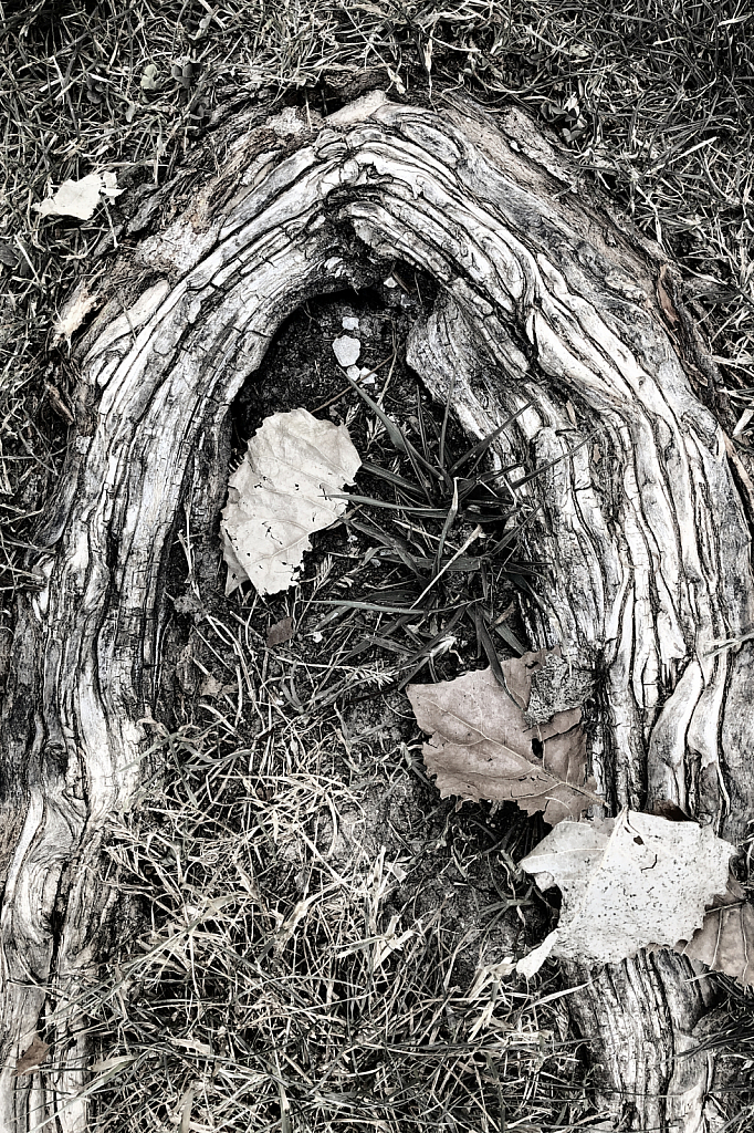 Arch