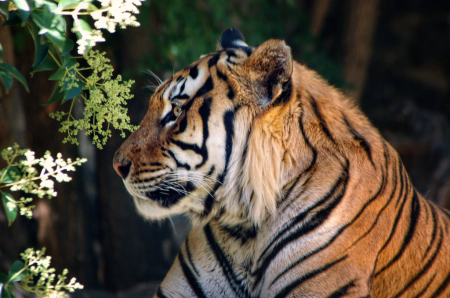 Fearless and fierce.