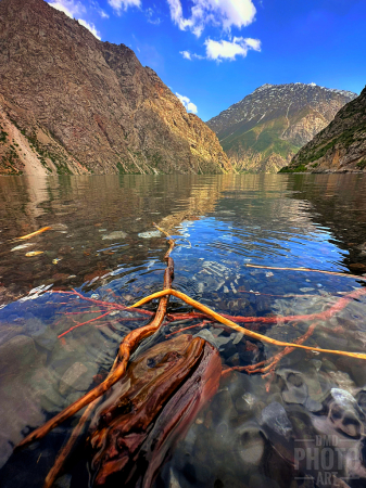 ~ ~ DEBRIS ON THE LAKE ~ ~ 